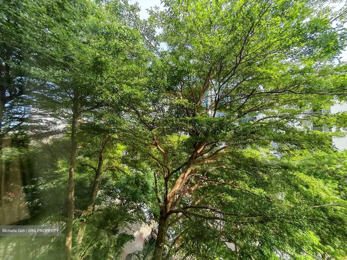 Kerrisdale (D8), Condominium #572603811